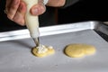 WomanÃ¢â¬â¢s hand piping vanilla frosting onto a heart shaped sugar cookie